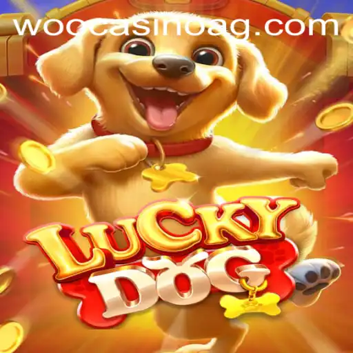 LuckyDog: A Thrilling New Adventure in Online Gaming
